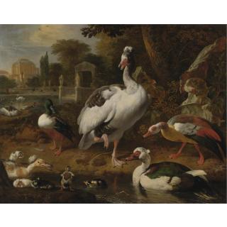 Melchior D\'Hondecoeter - A Shoveler, A Grey And White Crested Goose, An Egyptian Goose, A Muscovy Duck And Other Waterfowl In A Park