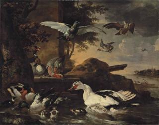 Melchior d\'Hondecoeter - A shoveler, a Muscovy duck, a mallard, pochards and other waterfowl with ducklings on the banks of a river, with a pigeon and a bird of prey in the air