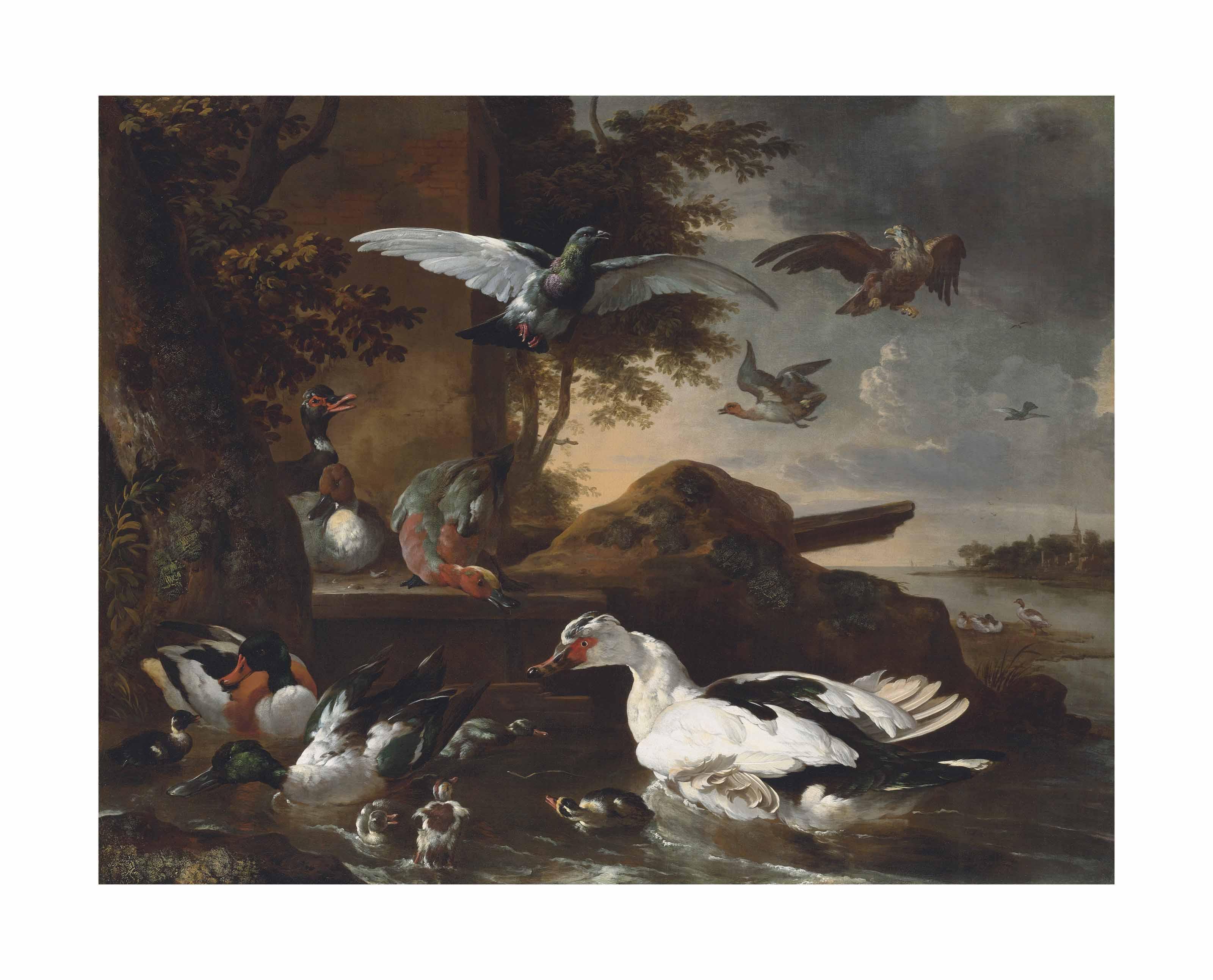 Melchior D\'Hondecoeter - A shoveler, a Muscovy duck and other birds by a river