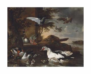 Melchior D\'Hondecoeter - A shoveler, a Muscovy duck and other birds by a river