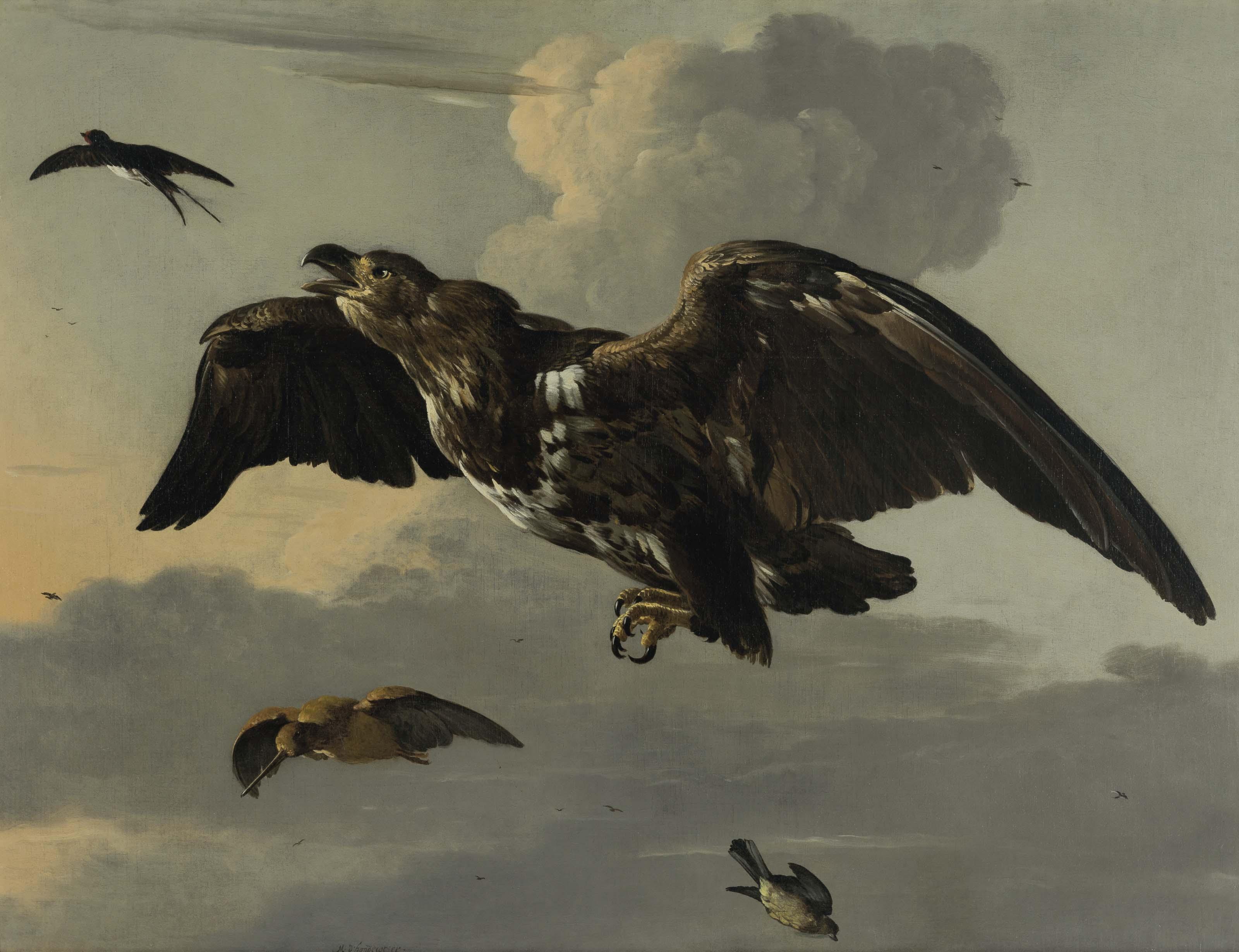 Melchior D\'Hondecoeter - An eagle, swallow, snipe and finch in flight