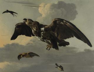 Melchior D\'Hondecoeter - An eagle, swallow, snipe and finch in flight