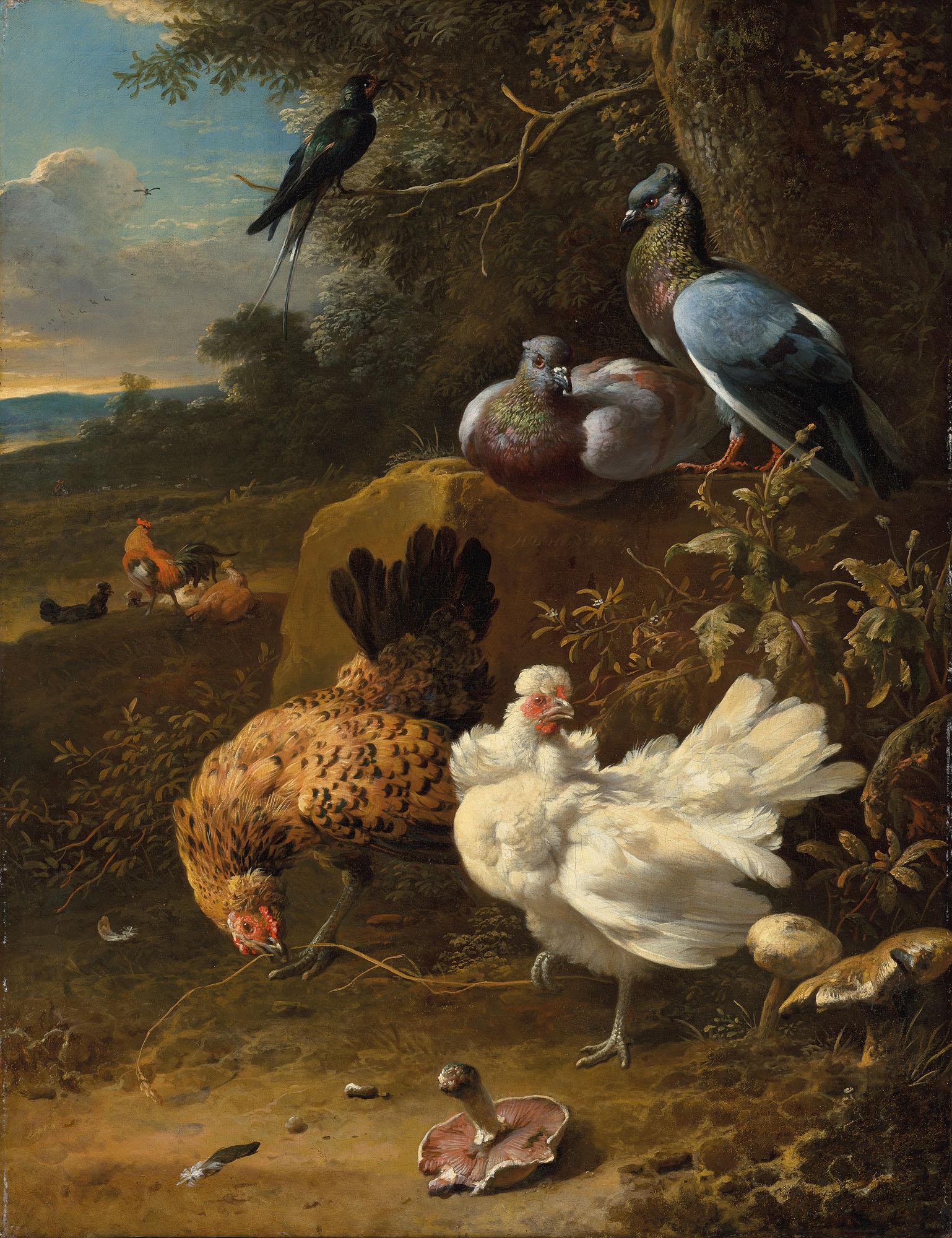 Melchior D\'Hondecoeter - Chickens and pigeons in a landscape