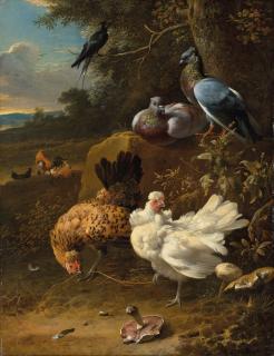 Melchior D\'Hondecoeter - Chickens and pigeons in a landscape
