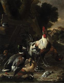 Melchior d\'Hondecoeter - Ducks, hens and other fowl in a yard