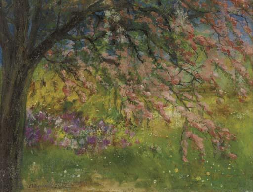 Menso Kamerlingh Onnes - Blooming hawthorn tree