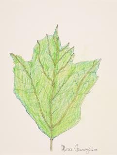 Merce Cunningham - Blatt.