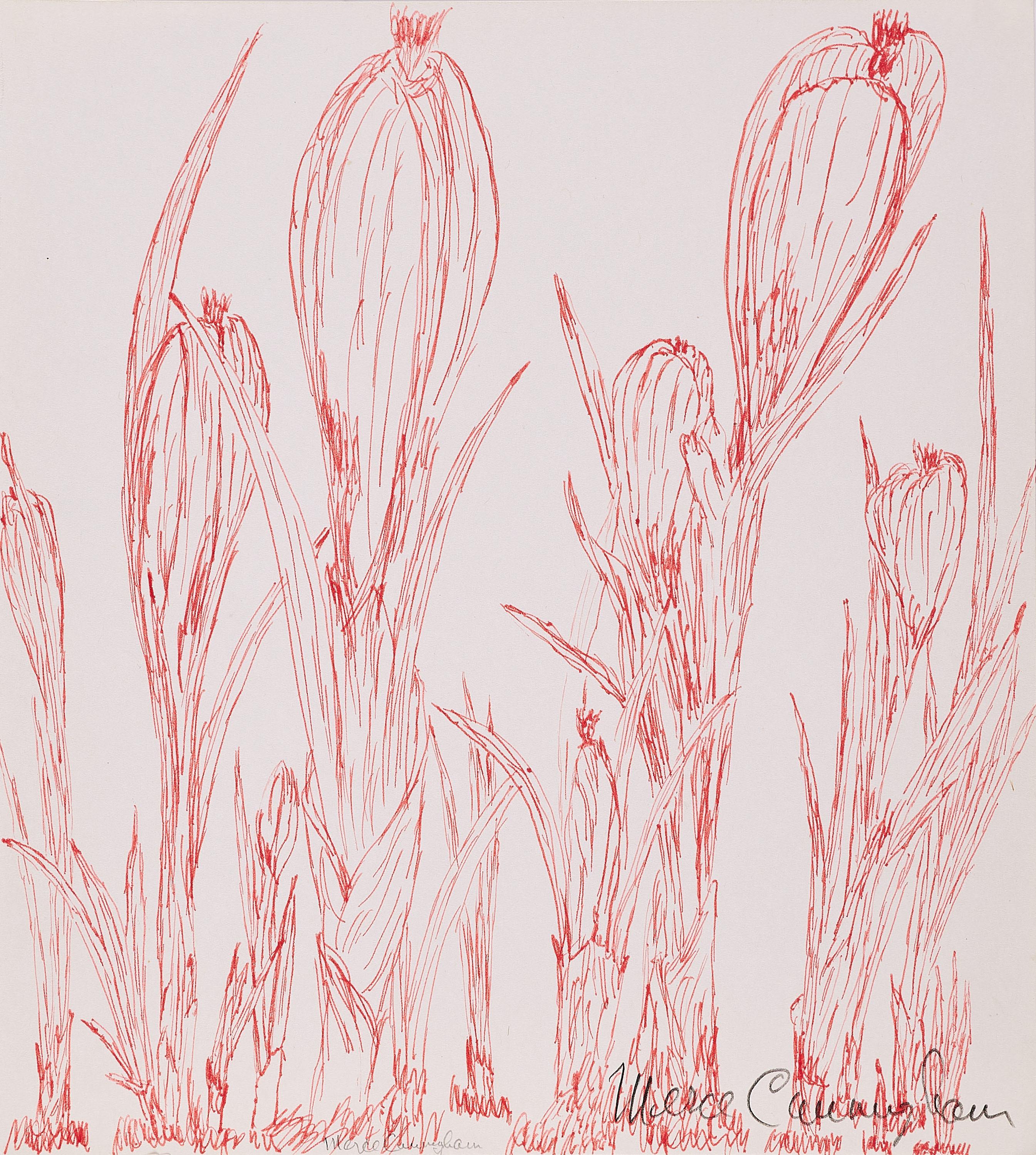 Merce Cunningham - Krokusse.