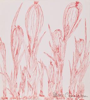 Merce Cunningham - Krokusse.