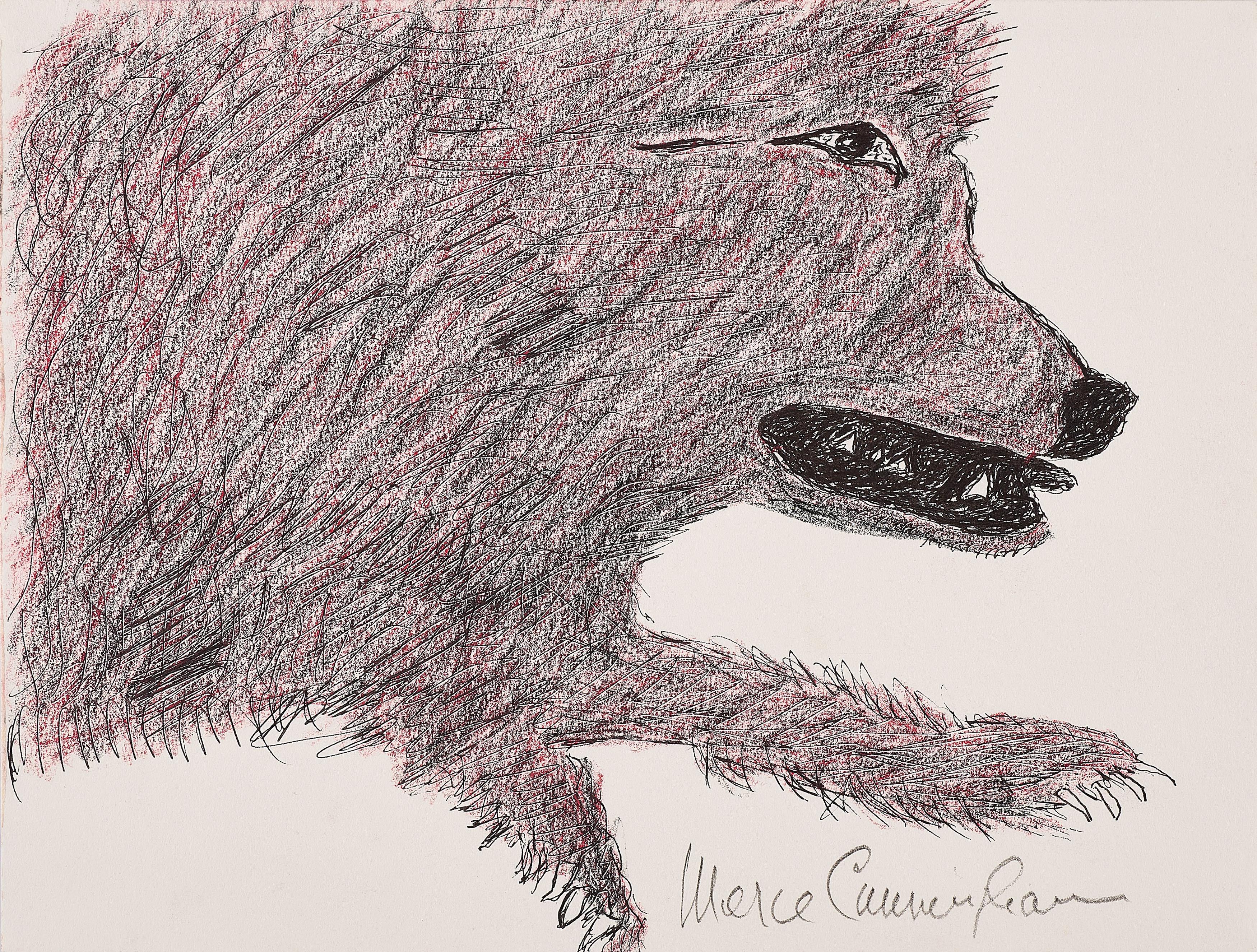 Merce Cunningham - Wolf.