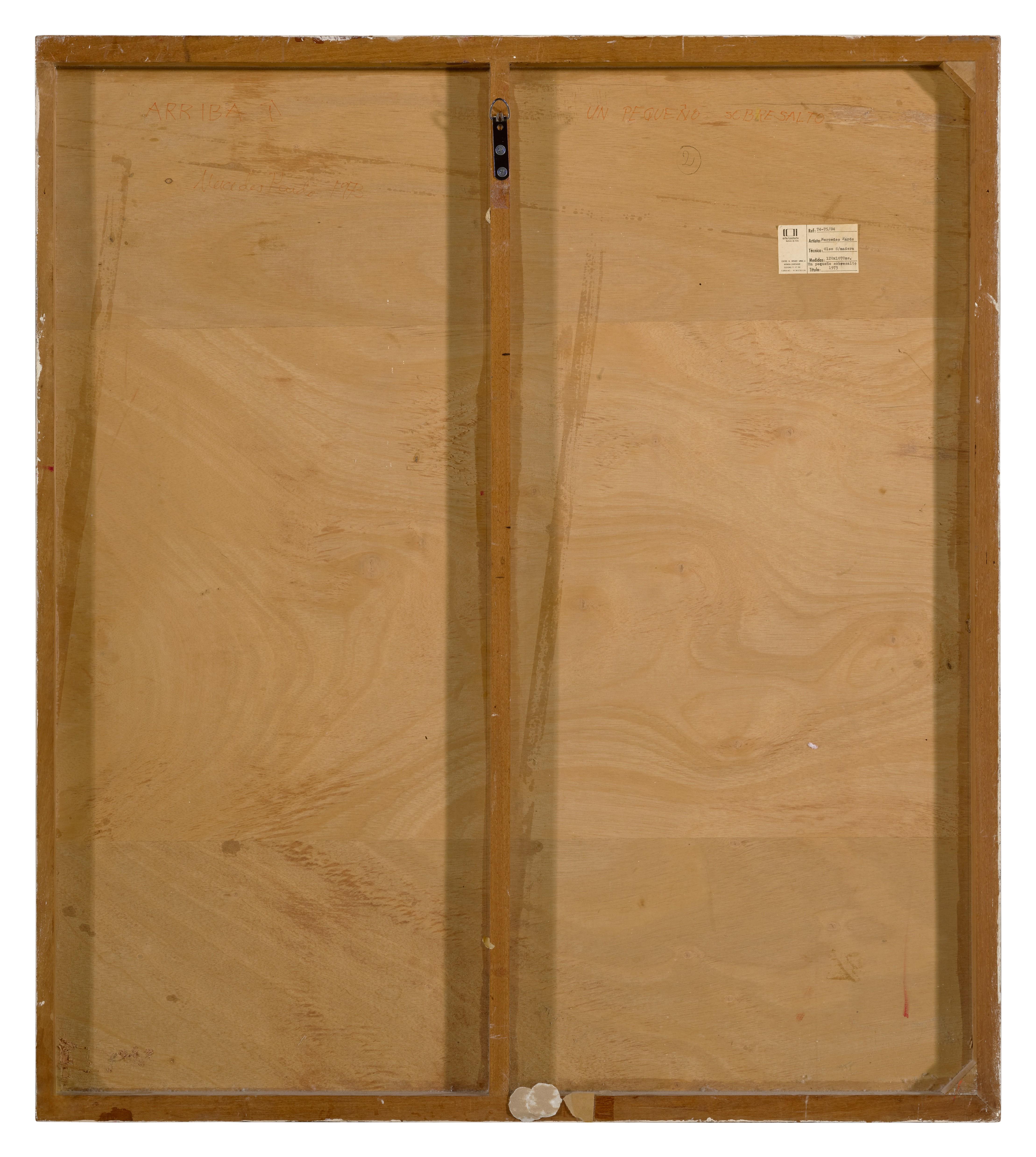 Mercedes Pardo - Un pequeño sobresalto