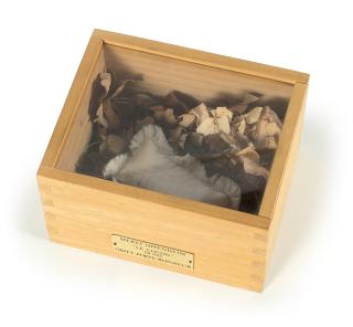 Meret Oppenheim - Le Cocon (il vit)