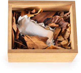 Meret Oppenheim - „Le Cocon (il vit)“