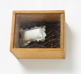 Meret Oppenheim - Le cocon. (il vit)