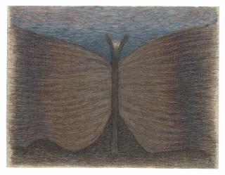 Meret Oppenheim - Papillon Protecteur