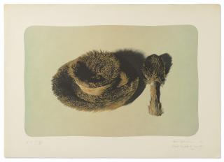 Meret Oppenheim - Pelztasse (fond bleu)