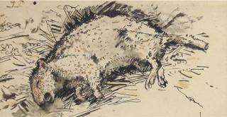 Mervyn Peake - Sleeping Mouse
