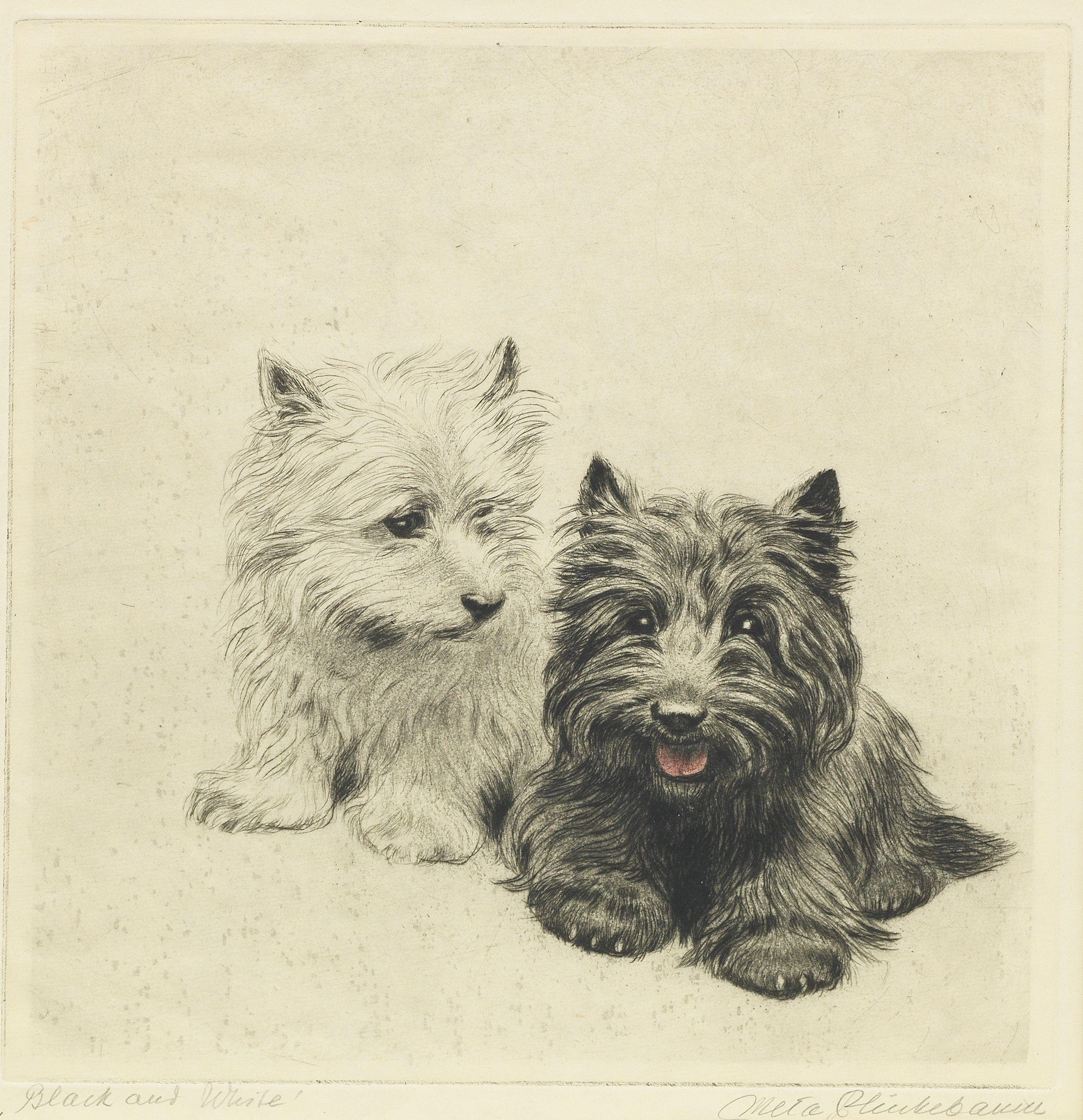 Meta Plückebaum - Black and White