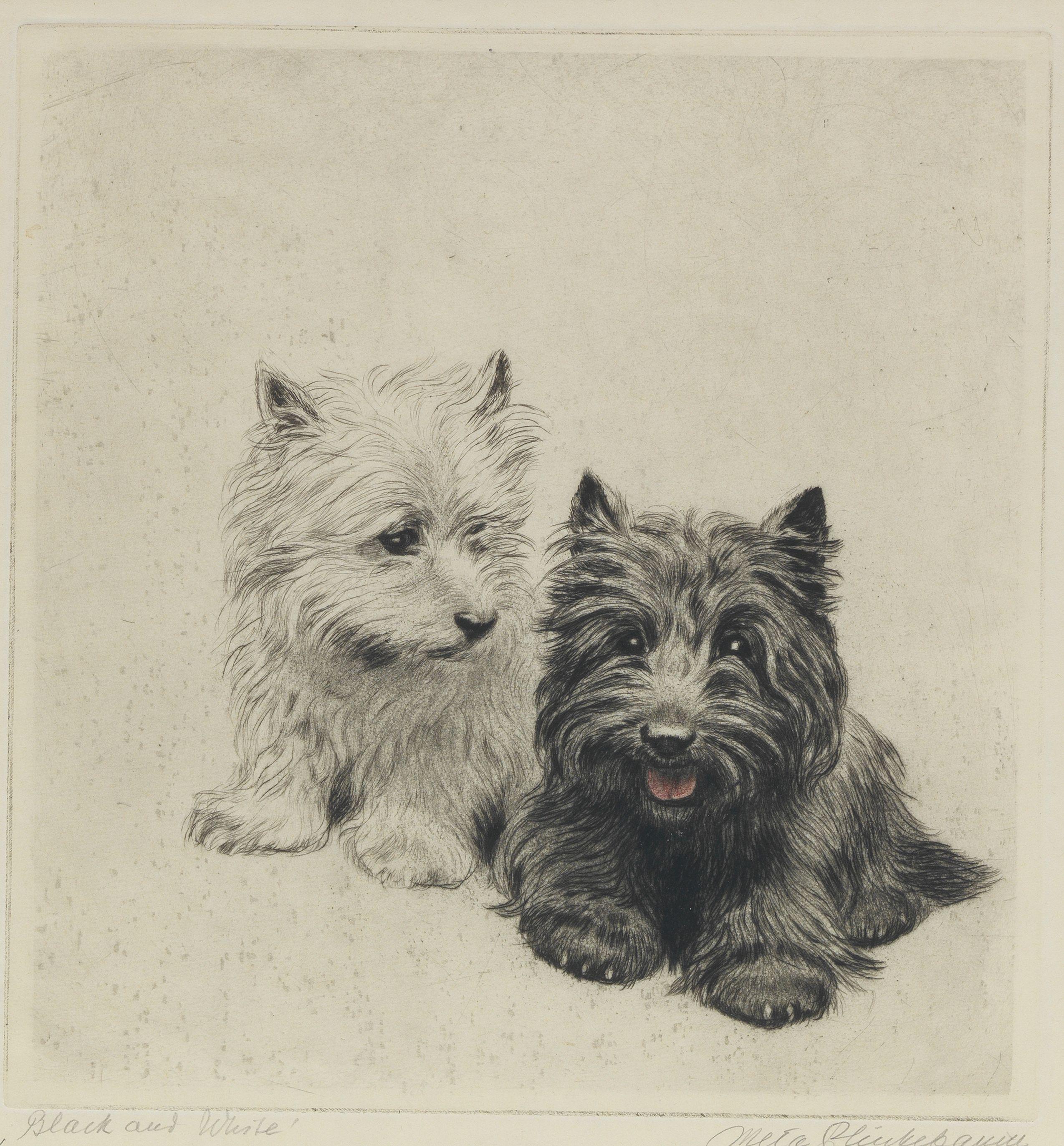 Meta Plückebaum - \'Black and White\'