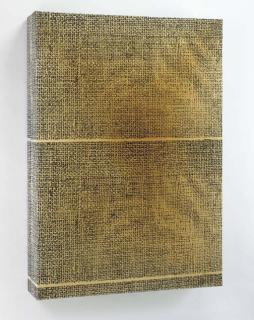 Meyer Vaisman - Painting without Context, 1986