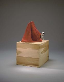 Meyer Vaisman - Untitled Turkey VIII (FUCK BUSH)