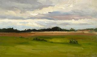 Miachael Gorstkin-Wywiorski - Feldstudie mit bewegten Wolken