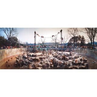 Miao Xiaochun - Opera (Set Of Five)