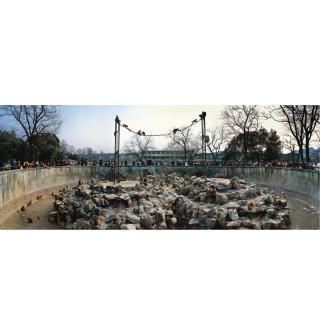 Miao Xiaochun - Opera