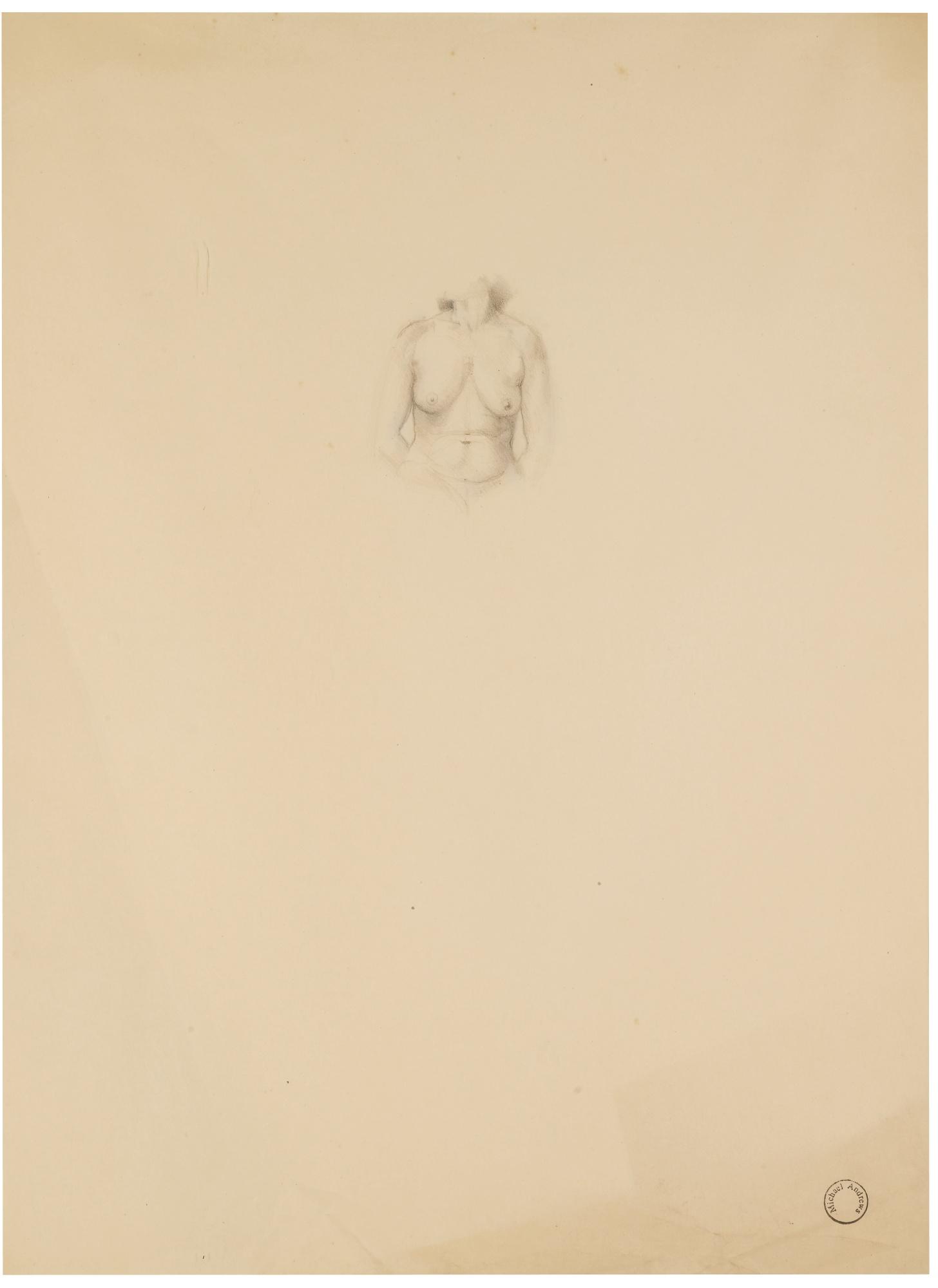 Michael Andrews - Untitled Drawing (Torso) 