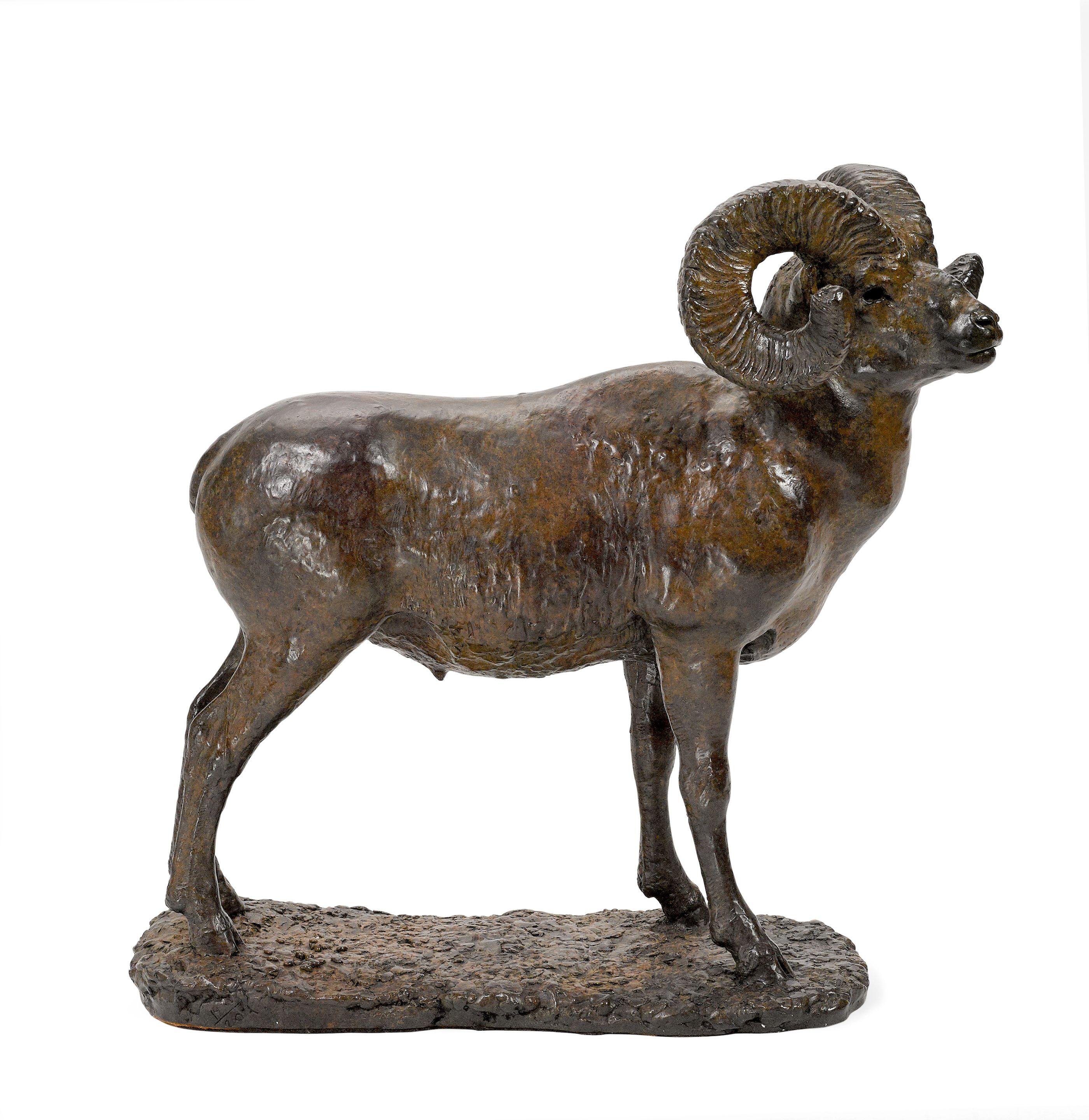 Michael Coleman - Bighorn Ram