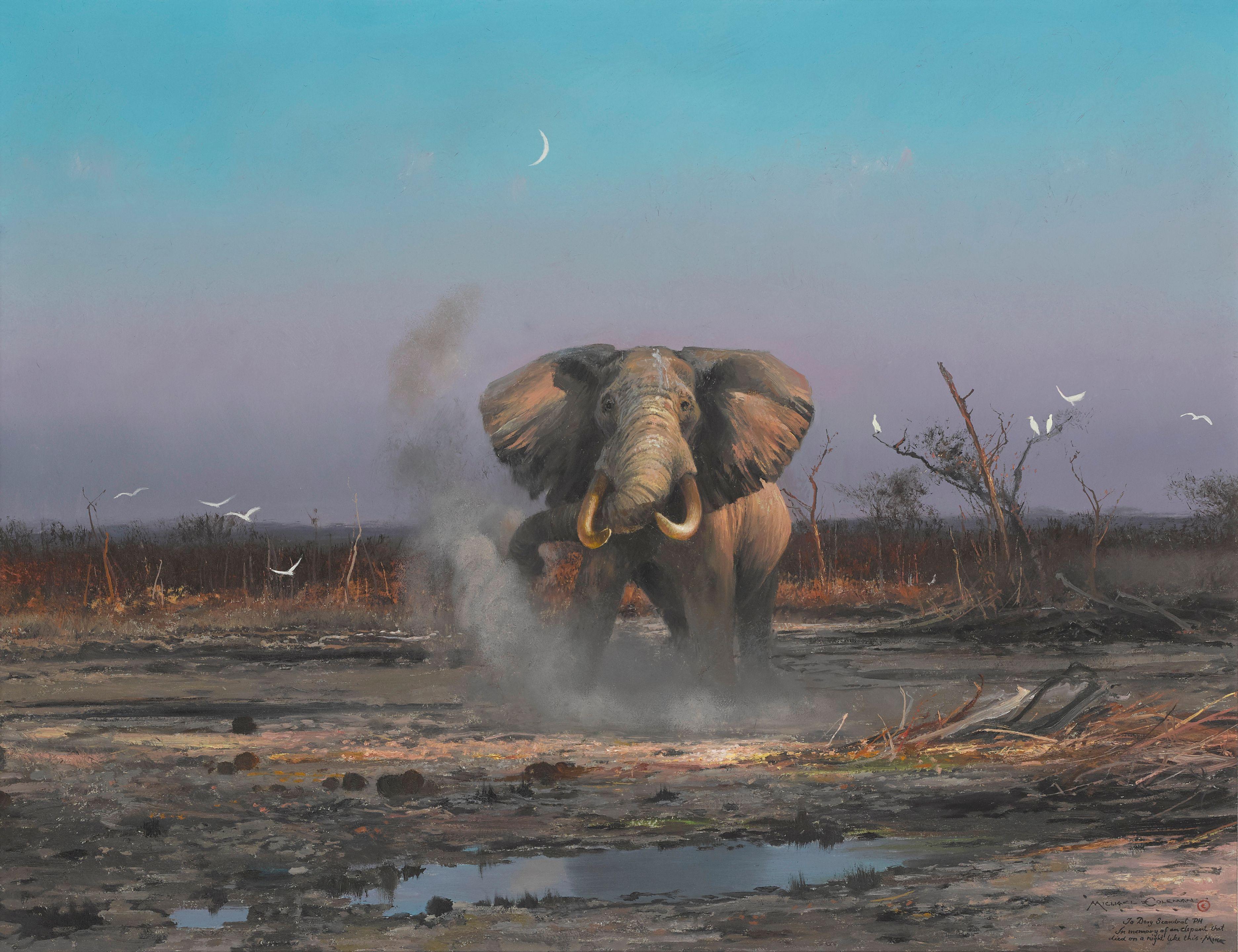 Michael Coleman - Elephant