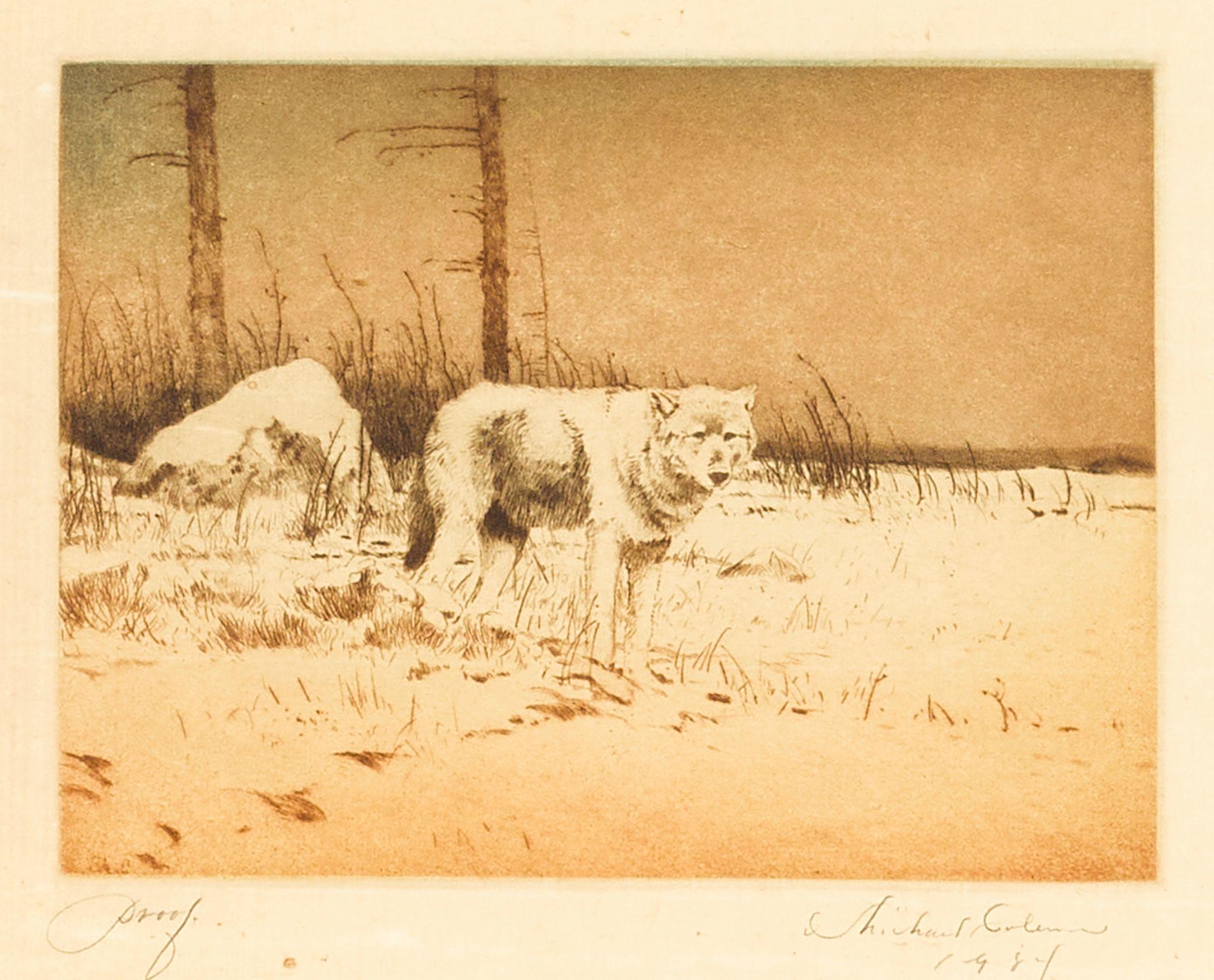 Michael Coleman - Timber Wolf