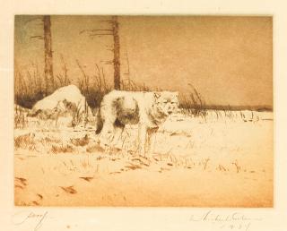 Michael Coleman - Timber Wolf