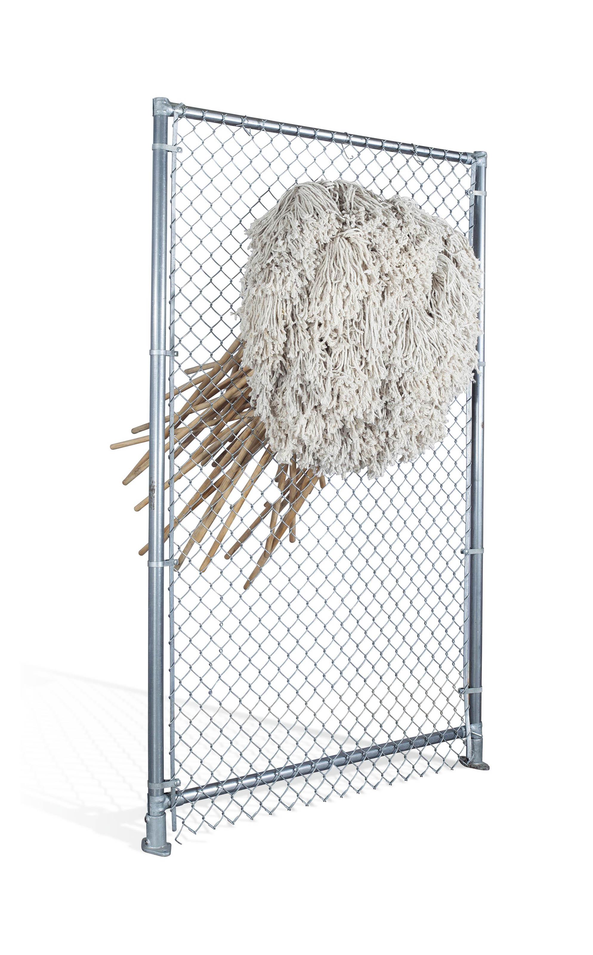 Michael Delucia - Untitled (Fence with Mops)