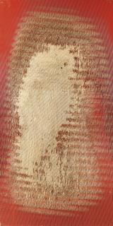 Michael Delucia - Untitled