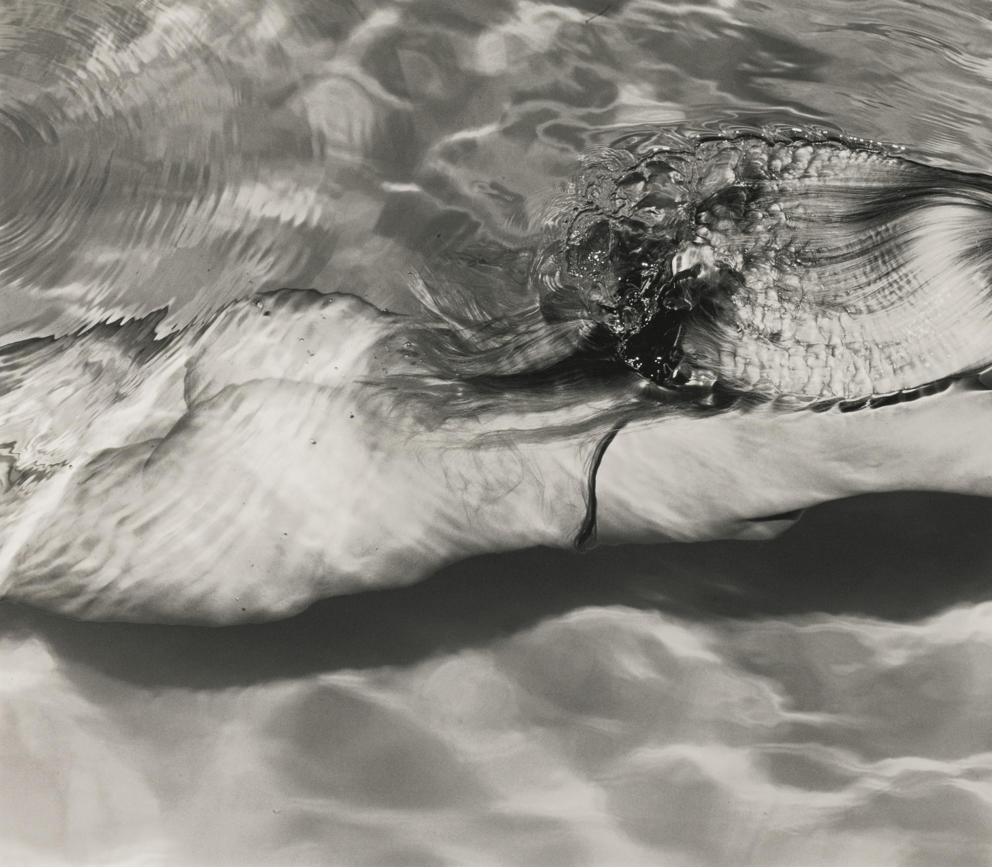 Michael Dweck - \'Mermaid 1\'