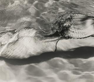 Michael Dweck - \'Mermaid 1\'