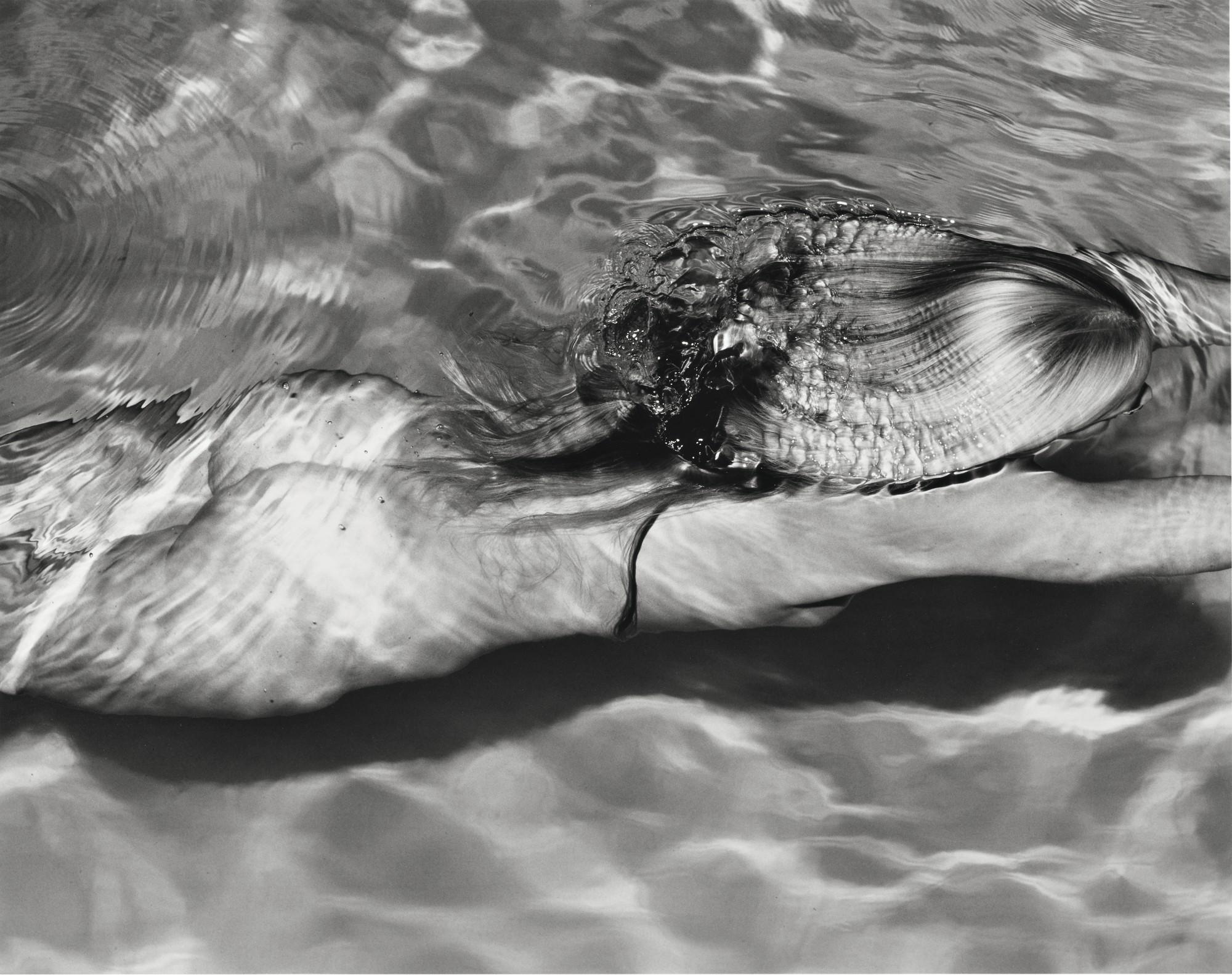 Michael Dweck - \'Mermaid #1\'