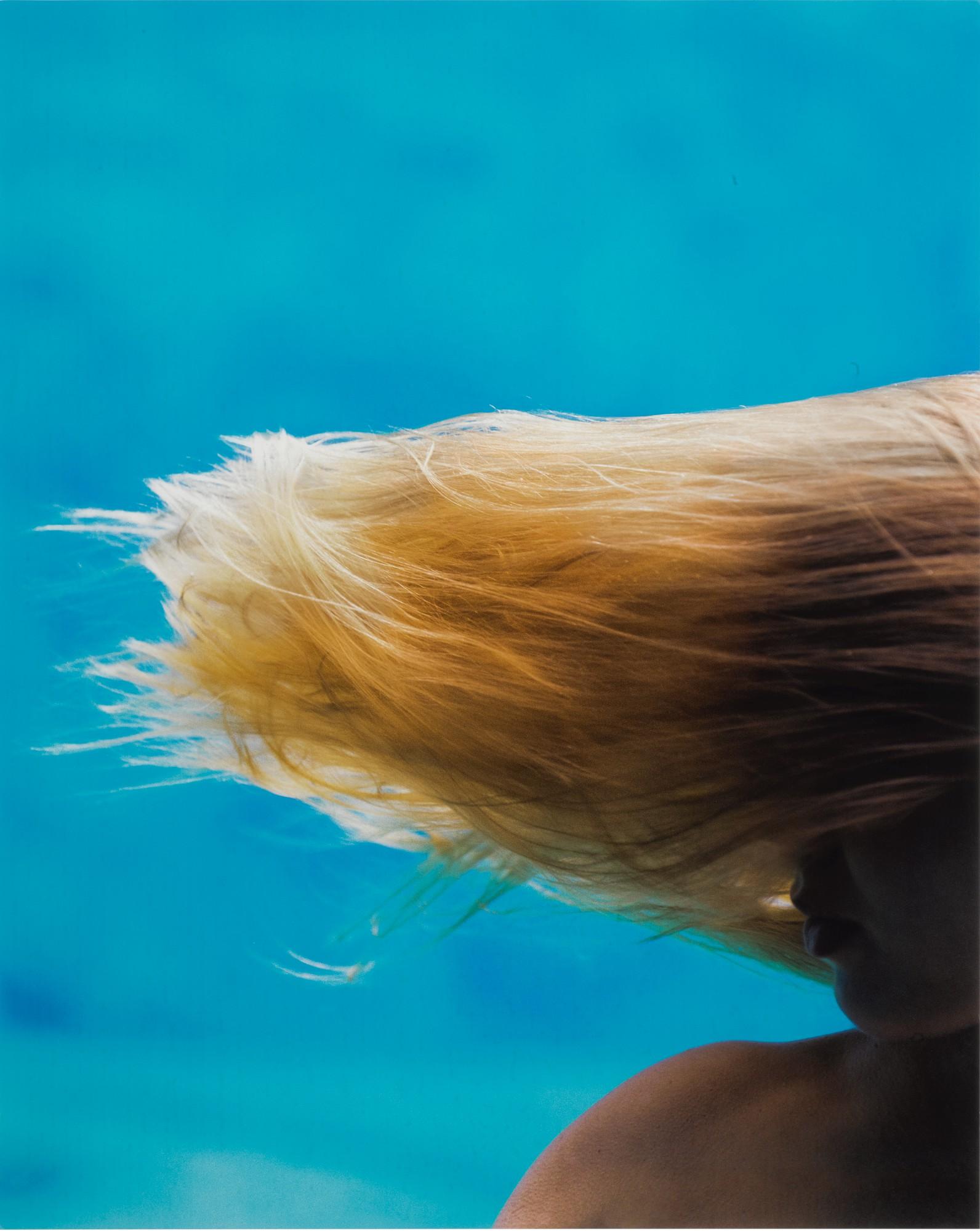 Michael Dweck - \'Mermaid #30\'