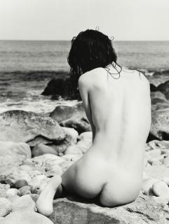 Michael Dweck - Mermaid 50, Montauk