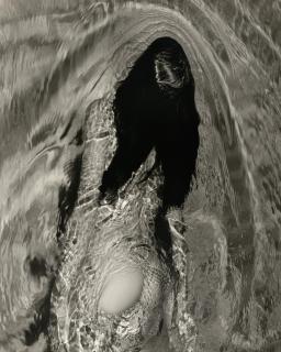 Michael Dweck - Mermaid 6B Miami, Florida