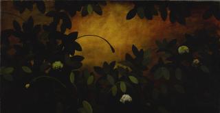 Michael Gregory - Dark Eyes