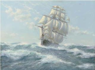 Michael J. Whitehand - The clipper White Star