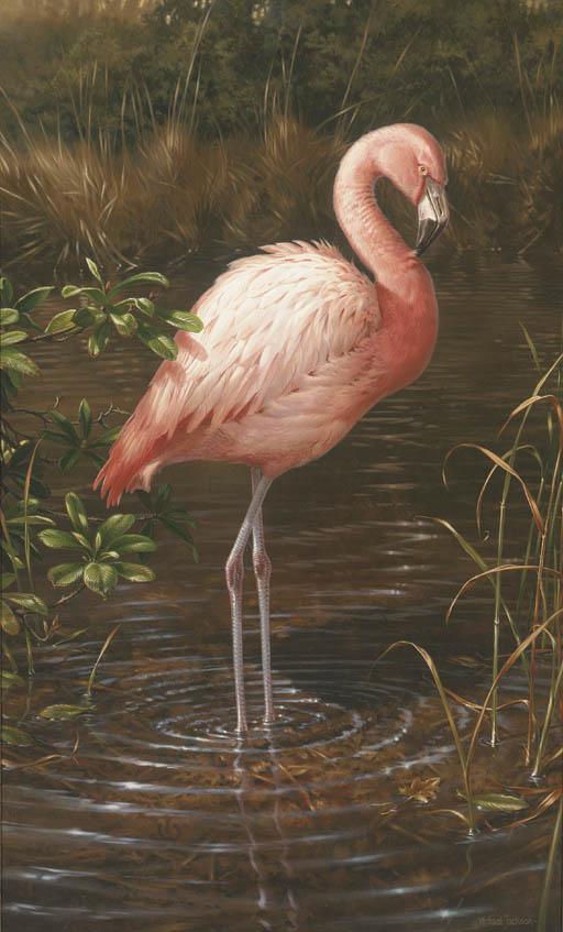 Michael Jackson - A Chilean Flamingo