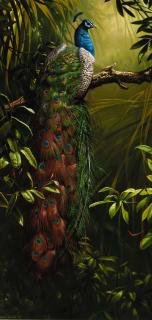 Michael Jackson - Peacock