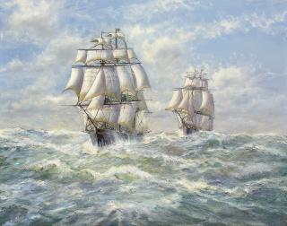 Michael James Whitehand - The Walmer Castle in company with the tea clipper Queensbury