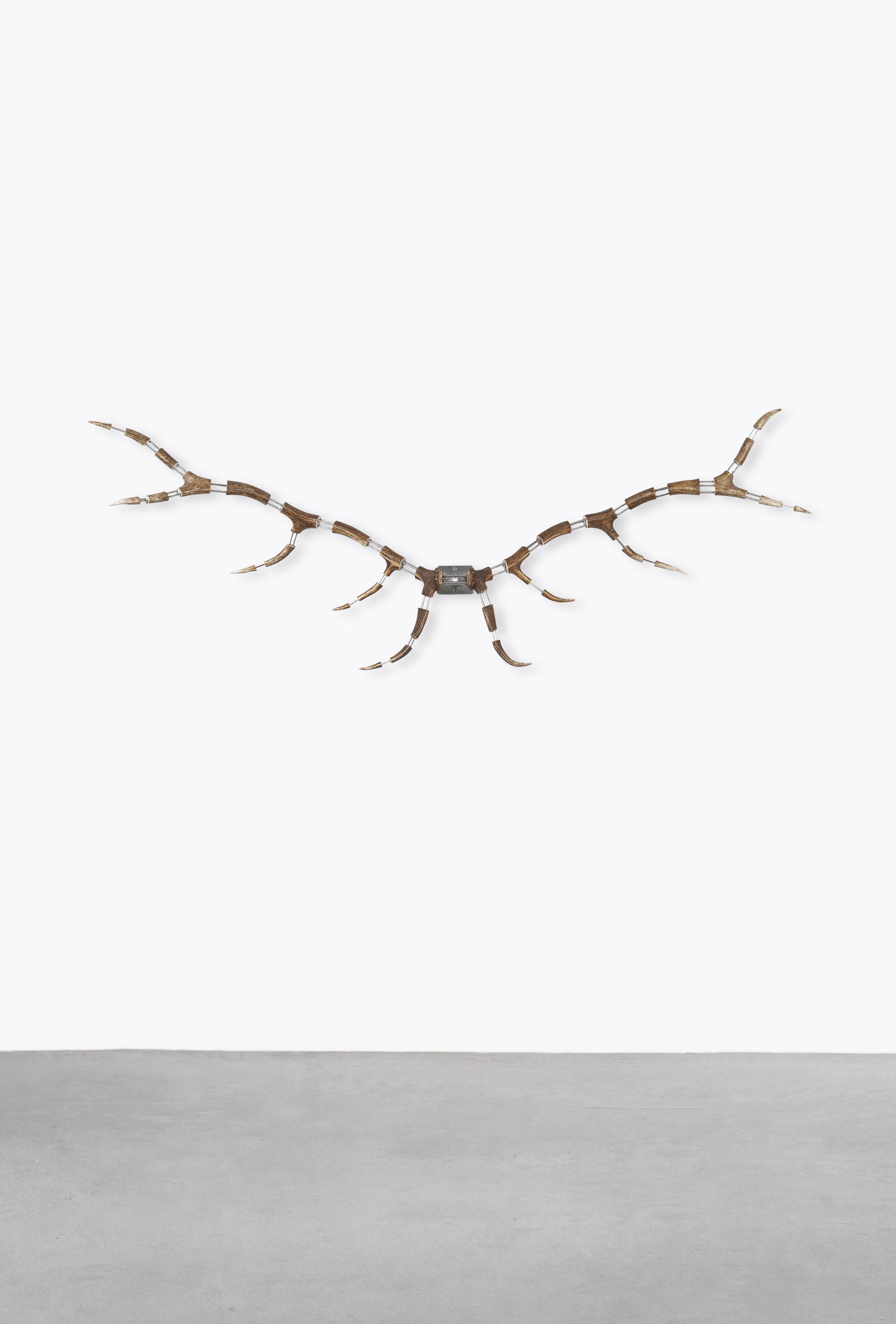 Michael Joo - Image (Symmet.)