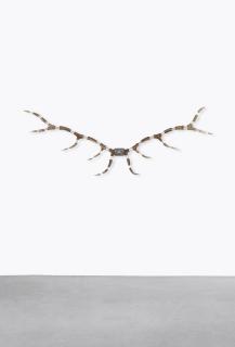 Michael Joo - Image (Symmet.)