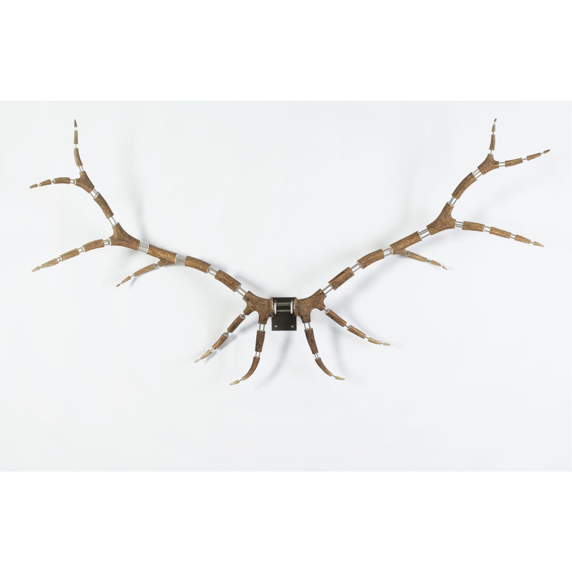 Michael Joo - Improved Rack (Elk #11)