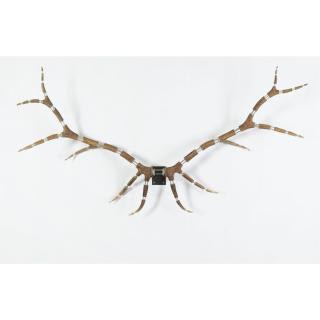 Michael Joo - Improved Rack (Elk #11)